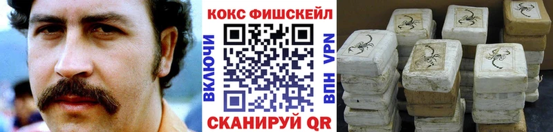 COCAIN Fish Scale Красноуфимск
