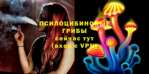 винт Балахна
