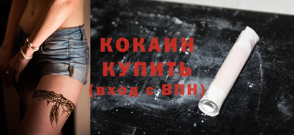 дживик Баксан