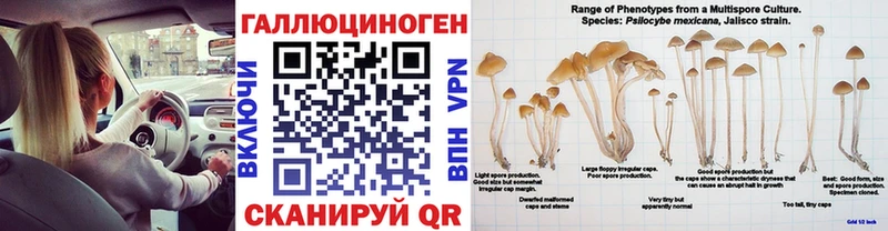 даркнет сайт  Красноуфимск  Галлюциногенные грибы мицелий 